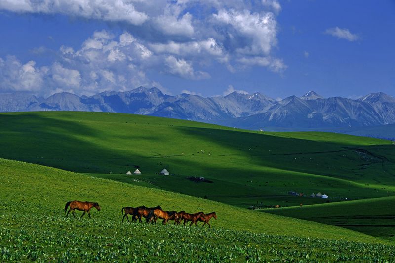 那拉提風(fēng)景區