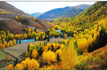 九月傳奇3：喀納斯、禾木、可可托海、五彩灣、胡楊七日行