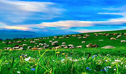 環(huán)游喀伊：喀納斯、禾木、那拉提、賽里木湖、巴音布魯克、獨庫公路 9日游